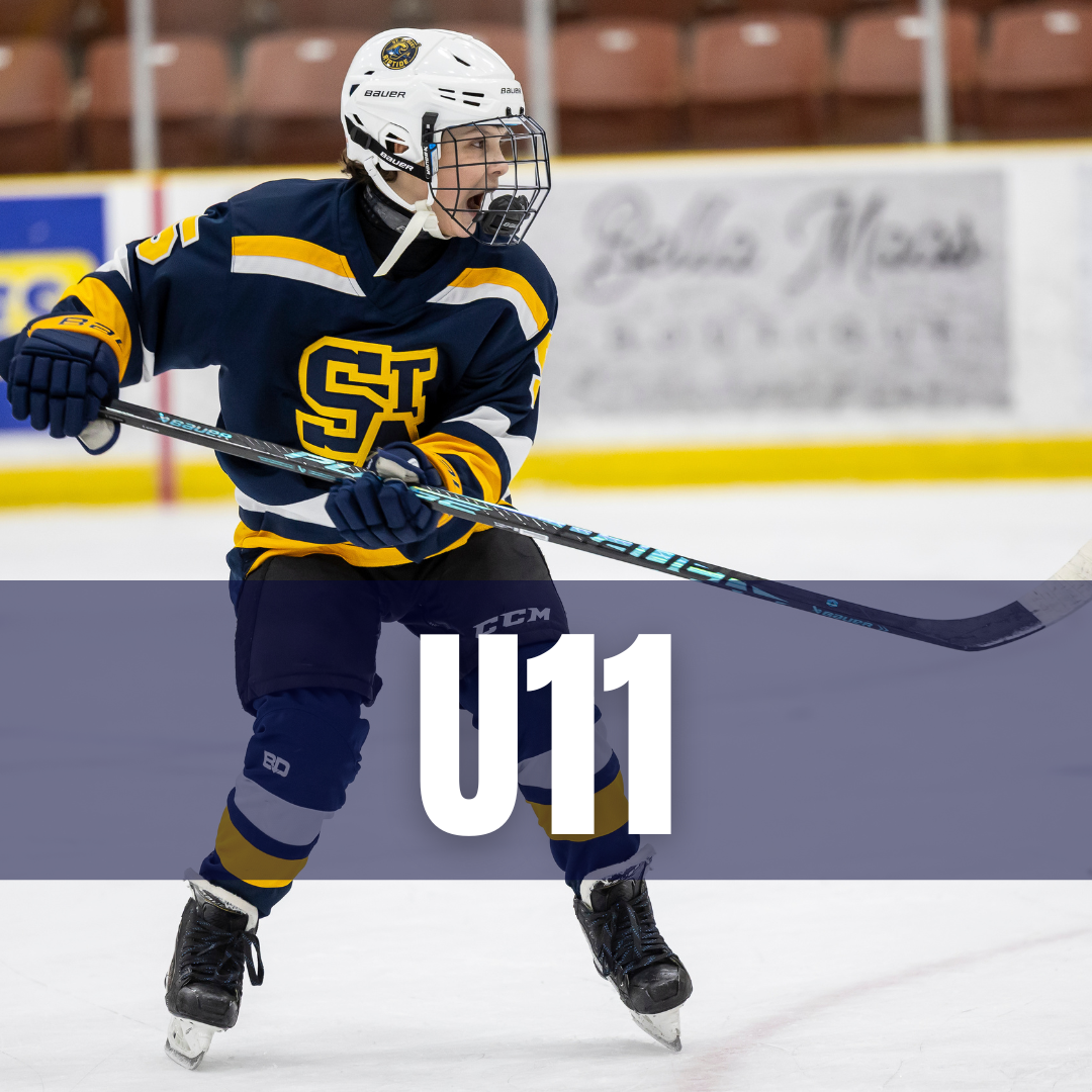 STA IG 2026-6