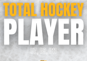 Raiders posts 2024 IG-87